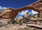 Natural Bridges